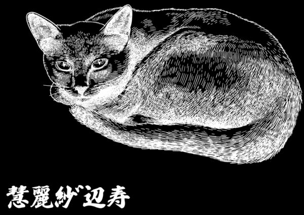 kanji symbol of cat 01