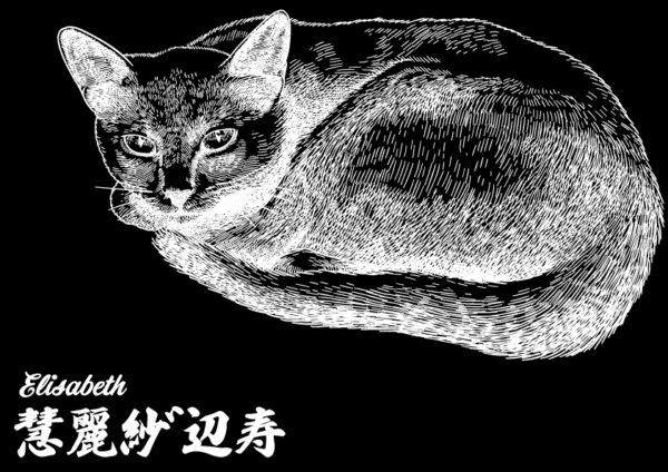 kanji symbol of cat 02